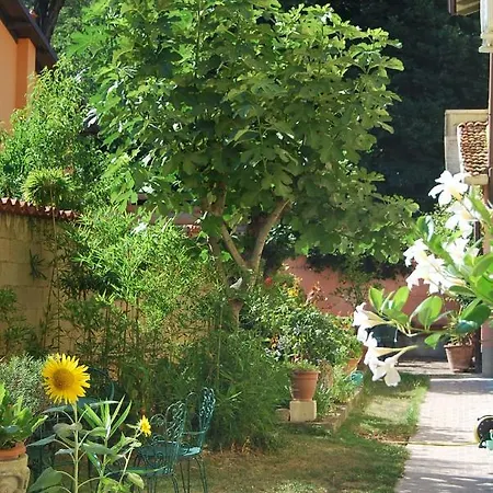 Couette-café Bassa 3*