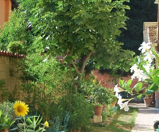 Готель типу 